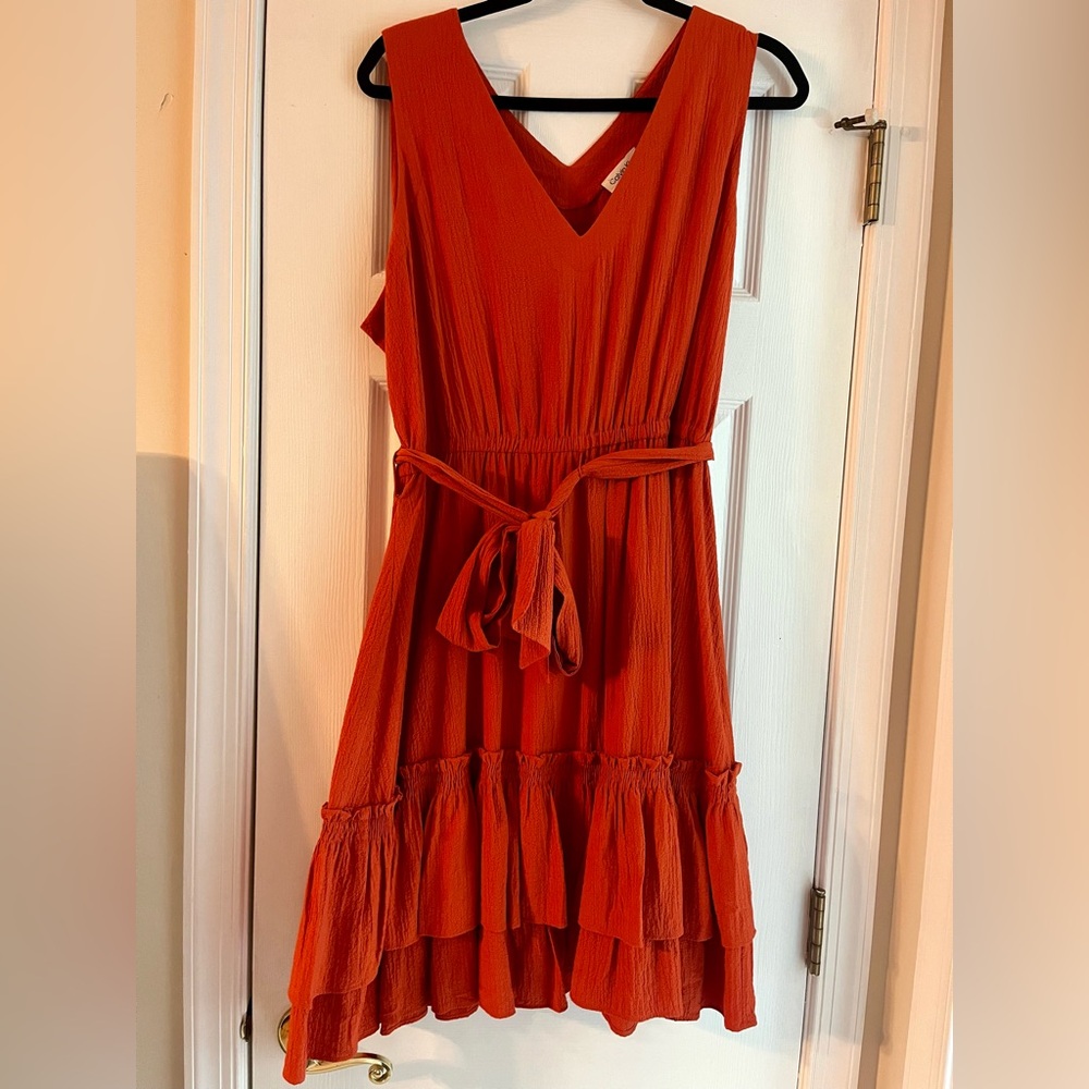 Elegant Burnt Orange Sleeveless Dress